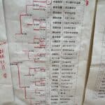 ギャラリー画像 8